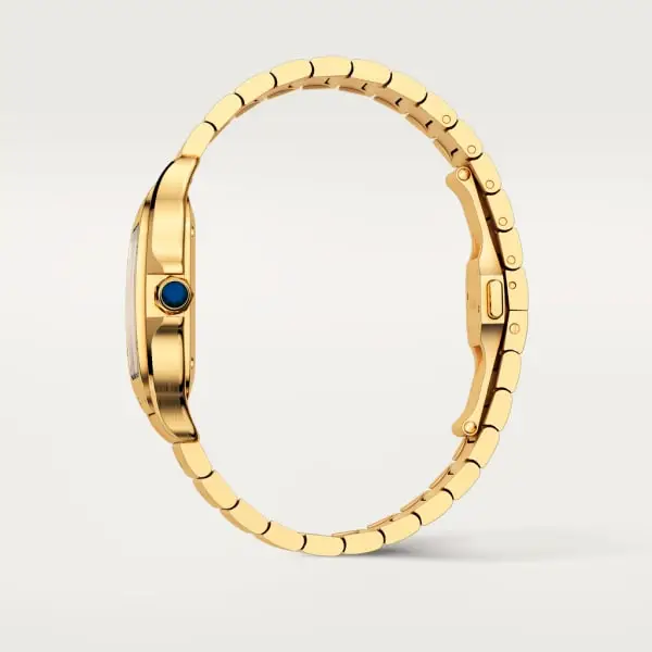 CARTIER santos 18kt Yellow Gold Men's WatchItem -WGSA0007(AAAAA) - Image 5