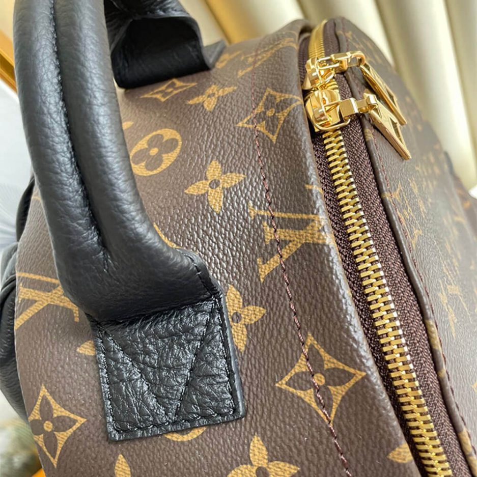 Louis Vuitton PALM SPRINGS MM - Image 6