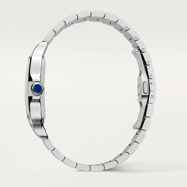 SANTOS DE CARTIER WATCH-WSSA0009(AAAAA version) - Image 9