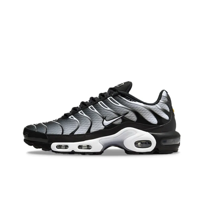 Nike Air Max Plus Black Silver White DM0032-003