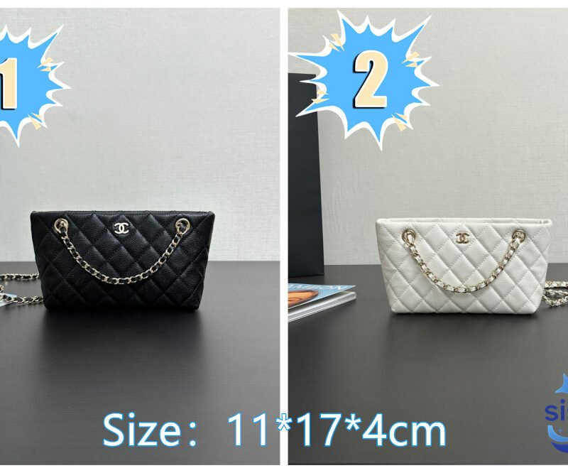 Chanel Evening party shoulder bag L91204