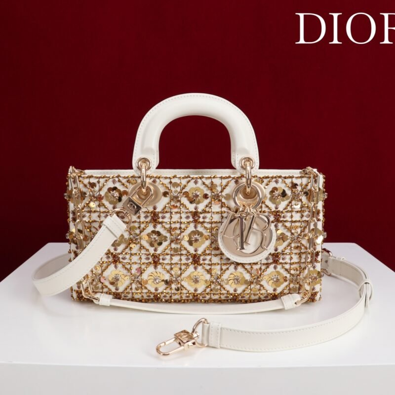 Dior Luxury Designer Handbags L102602