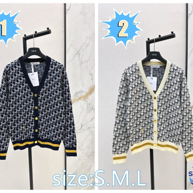 DIOR V-neck wool sweater D101304