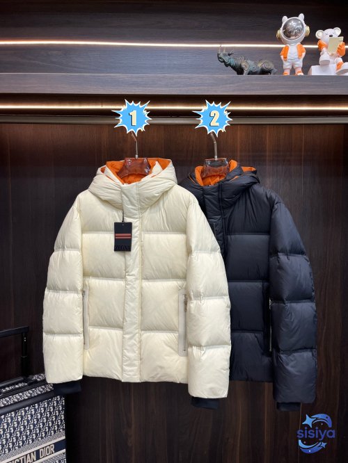Zegna Down Jacket 112906