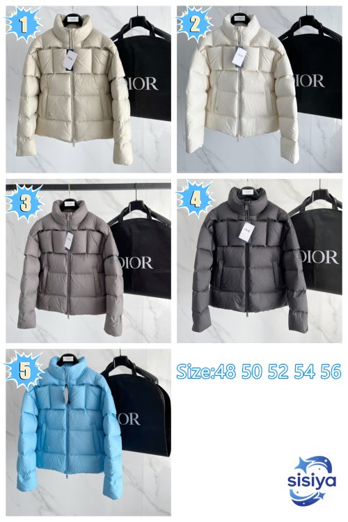 DIOR Down Jacket 111708
