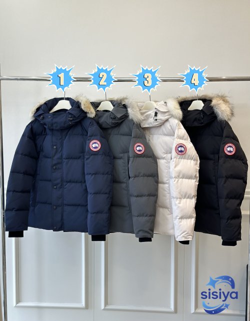 E29 CANADA GOOSE | Canadian Goose model Wyndham series Windham Park Coat M6011003