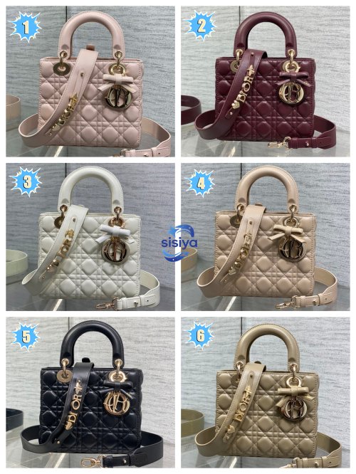Dior Four-Panel Butterfly Knot Duchess Bag B012208