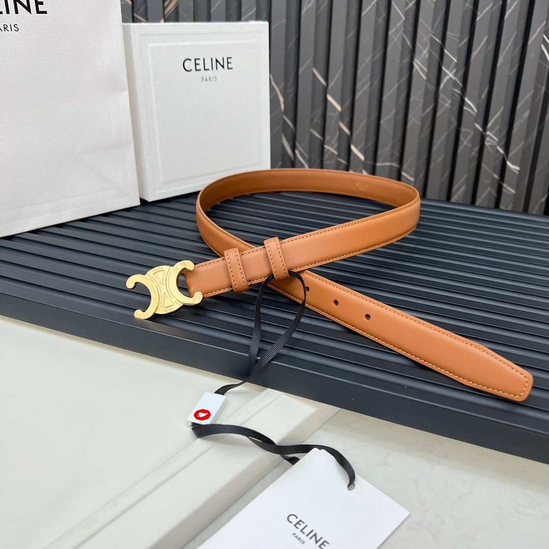 CELINE Medium 25MM Triomphe Belt B6011903 - Image 2