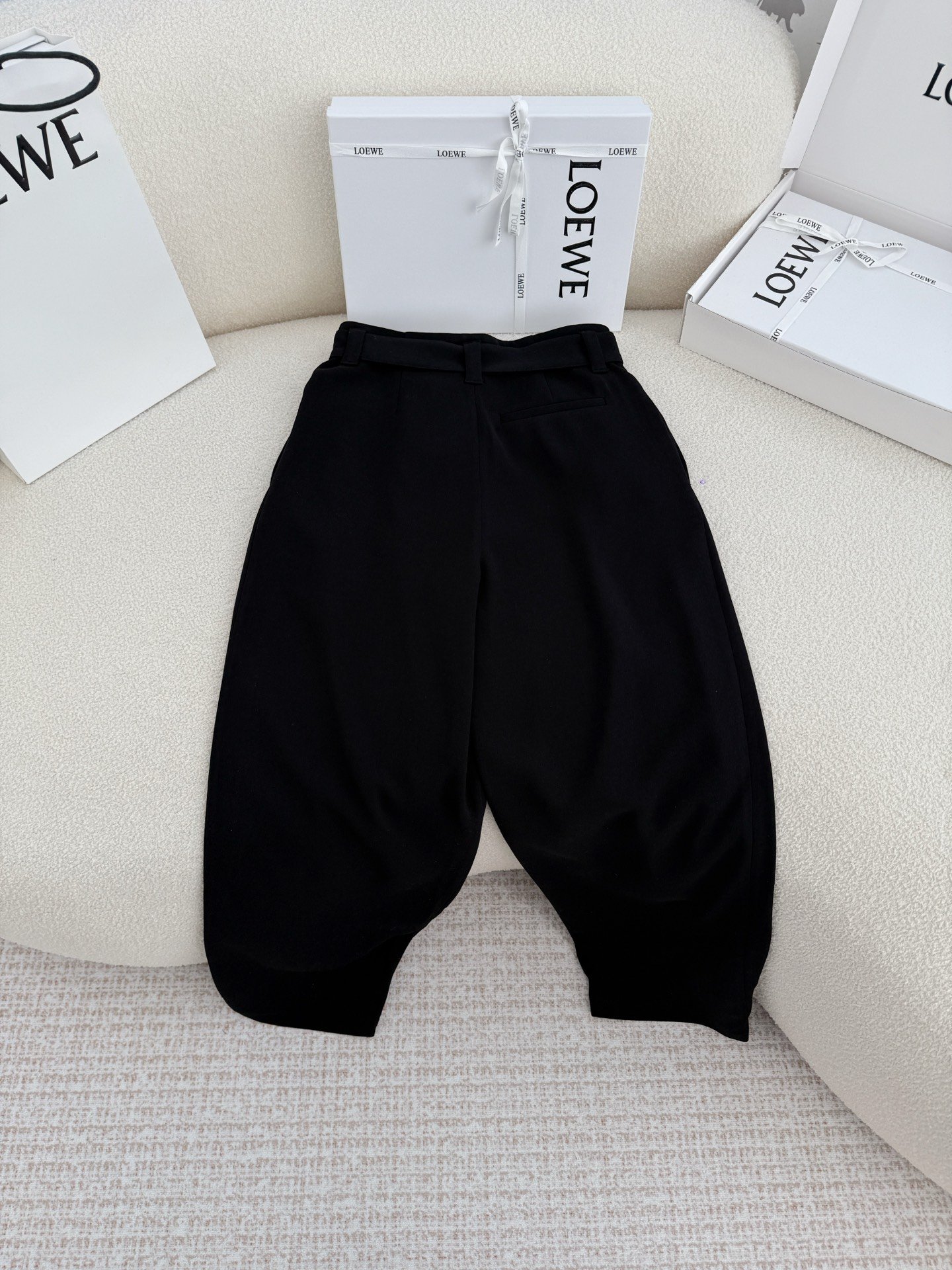 LOEWE Wide-leg Pants with Belt W6021302 - Image 3