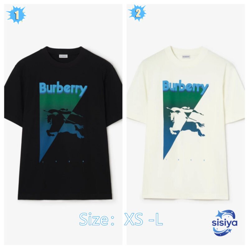 BBR Gradient Inverted Triangle Round Neck Short SleeveM6042701