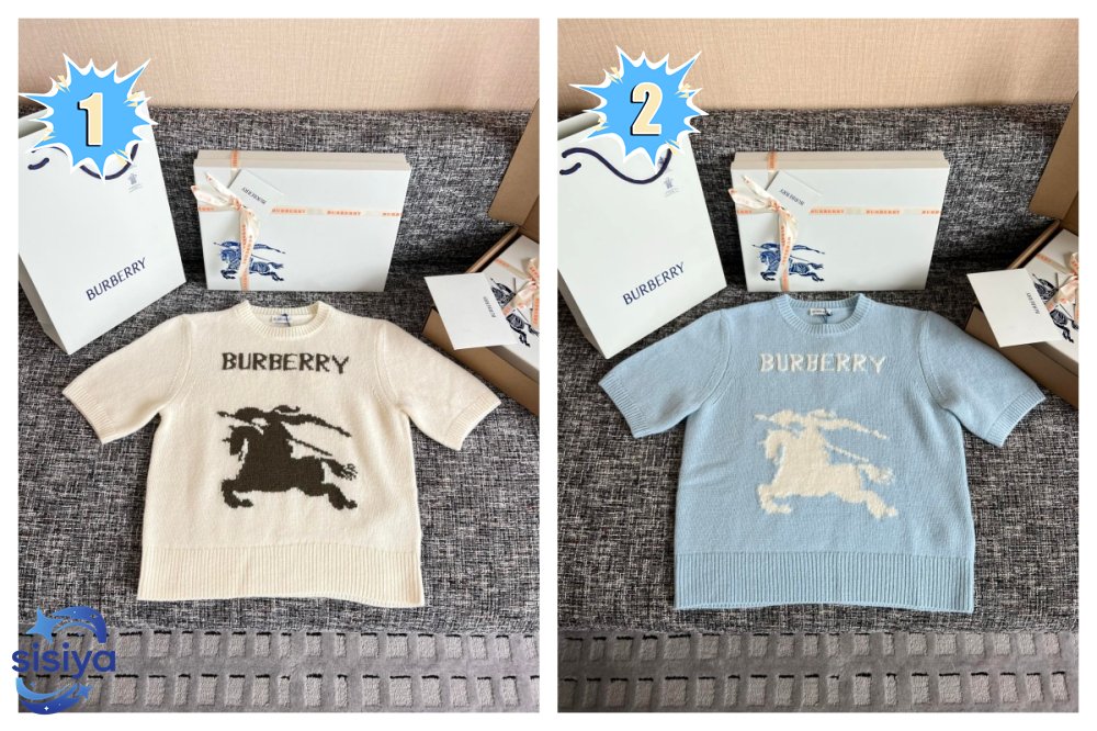 Burberry logo-equestrian Knight T-shirt W6042207