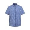 Loewe Anagram Embroidered Checkered Short-Sleeved Shirt M6060502